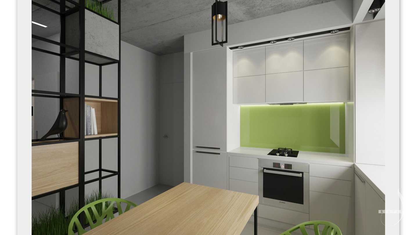 Kitchen_rakurs_5.jpg